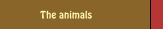 The animals
